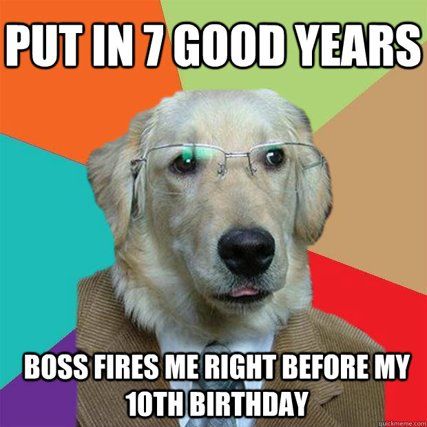 Put in 7 good years  boss fires me right before my 10th birthday  Business Dog