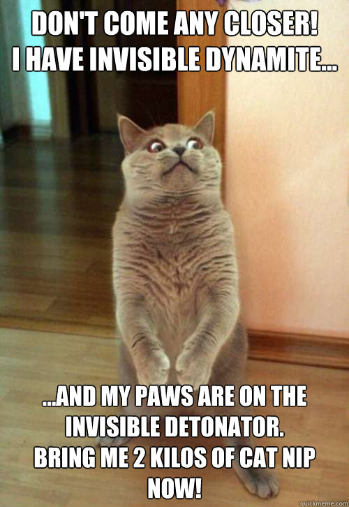 Don't Come any closer! 
I have invisible dynamite... ...And my paws are on the invisible detonator.
Bring me 2 kilos of cat nip now!  Horrorcat