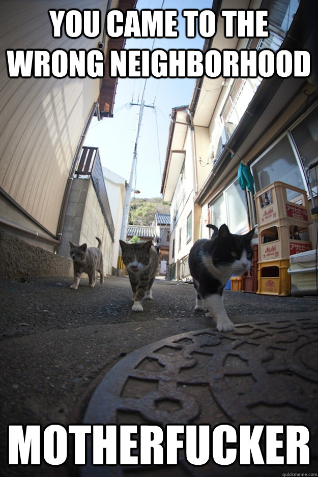 YOU CAME TO THE WRONG NEIGHBORHOOD MOTHERFUCKER - YOU CAME TO THE WRONG NEIGHBORHOOD MOTHERFUCKER  Misc