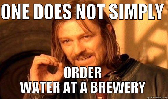 ONE DOES NOT SIMPLY  ORDER WATER AT A BREWERY One Does Not Simply