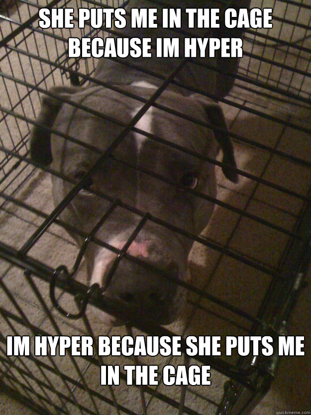 She puts me in the cage because im hyper im hyper because she puts me in the cage - She puts me in the cage because im hyper im hyper because she puts me in the cage  Misc