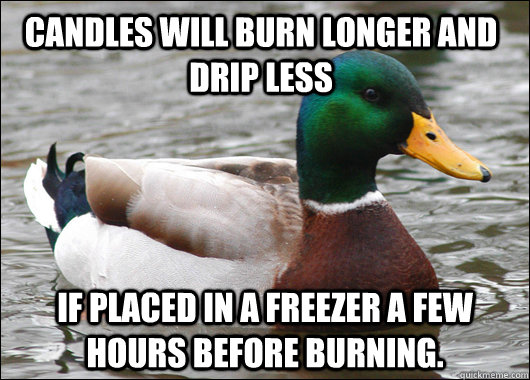 Candles will burn longer and drip less if placed in a freezer a few hours before burning. - Candles will burn longer and drip less if placed in a freezer a few hours before burning.  Actual Advice Mallard