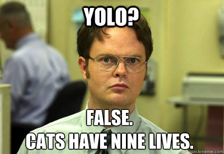 Yolo? False.
Cats have nine lives.  Schrute