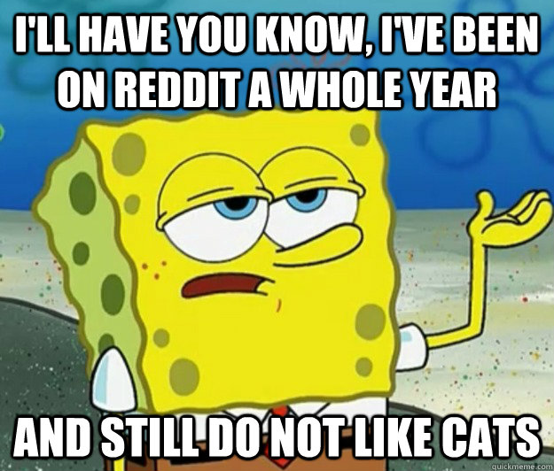 I'll have you know, I've been on reddit a whole year and still do not like cats  Tough Spongebob