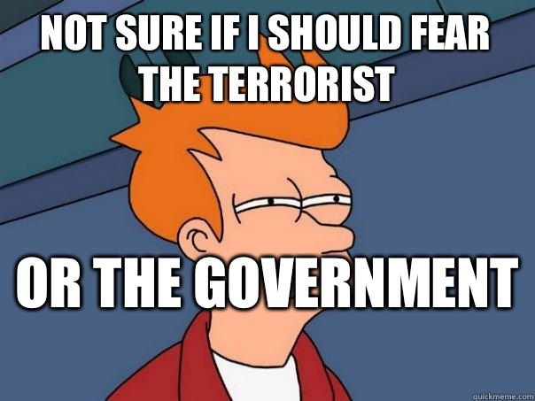 Not sure if I should fear the terrorist  Or the government   Futurama Fry