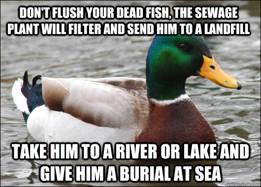 don't flush your dead fish, the sewage plant will filter and send him to a landfill take him to a river or lake and give him a burial at sea   Actual Advice Mallard