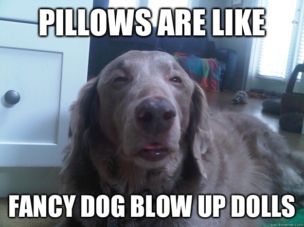 Pillows are like Fancy dog blow up dolls  10 Dog