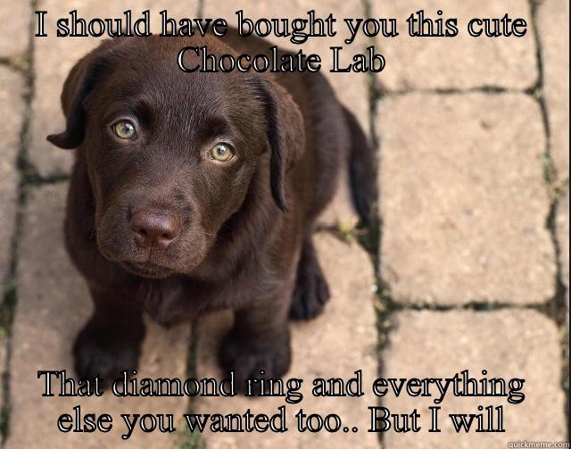 I SHOULD HAVE BOUGHT YOU THIS CUTE CHOCOLATE LAB THAT DIAMOND RING AND EVERYTHING ELSE YOU WANTED TOO.. BUT I WILL Misc