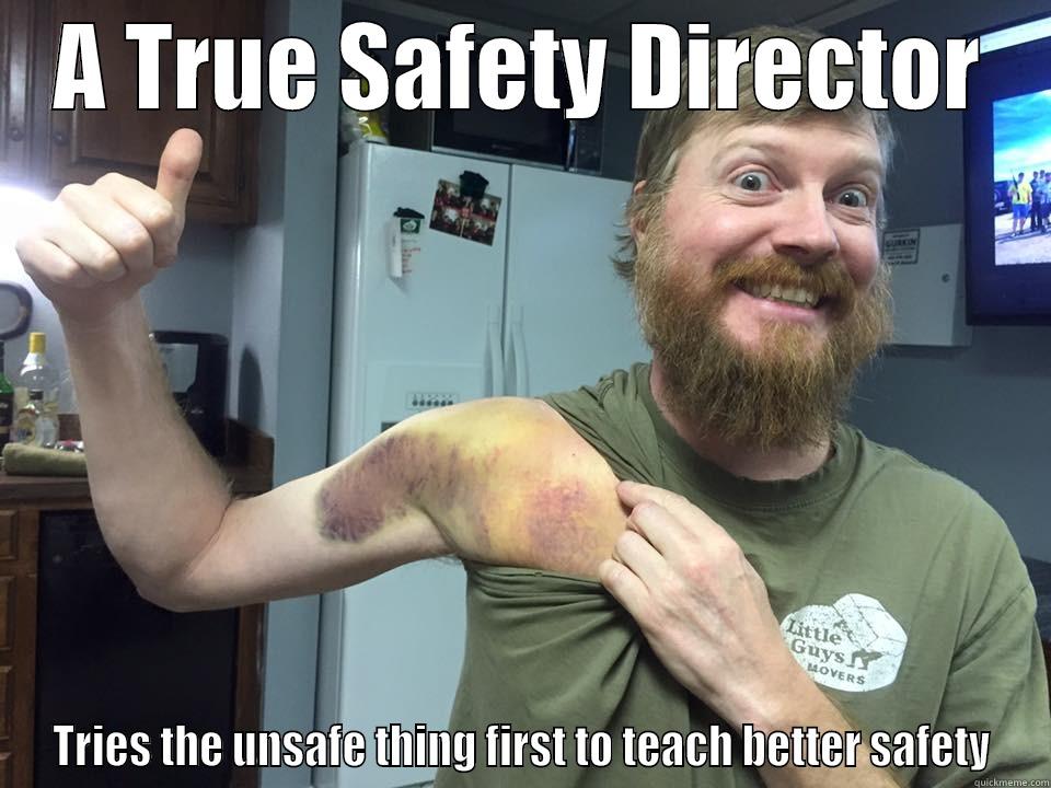 Unsafety Director - A TRUE SAFETY DIRECTOR TRIES THE UNSAFE THING FIRST TO TEACH BETTER SAFETY Misc