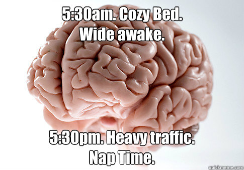 5:30am. Cozy Bed. 
Wide awake. 5:30pm. Heavy traffic.
Nap Time.   Scumbag Brain