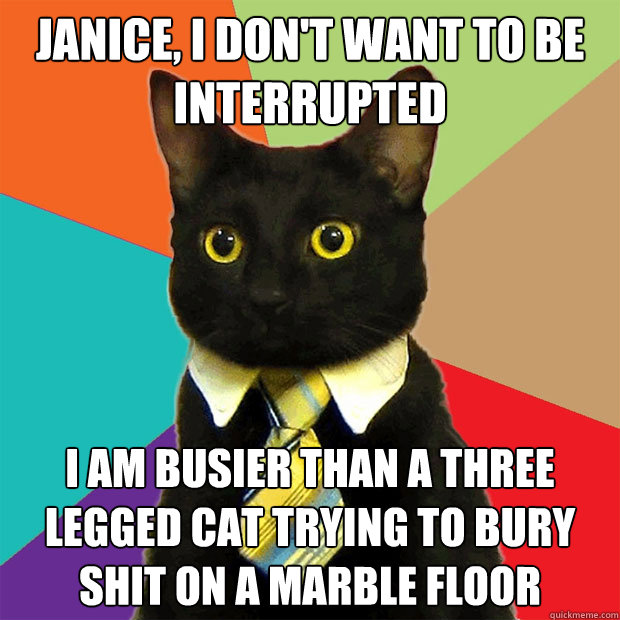 Janice, I don't want to be interrupted I Am Busier Than a three Legged Cat Trying to Bury Shit on a Marble Floor - Janice, I don't want to be interrupted I Am Busier Than a three Legged Cat Trying to Bury Shit on a Marble Floor  Business Cat