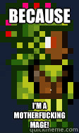 Because I'm a motherfucking mage!  Terraria Mage