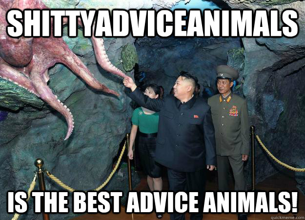 shittyadviceanimals is the best advice animals! - shittyadviceanimals is the best advice animals!  Misc