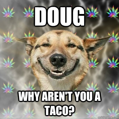 doug Why aren't you a taco?  Stoner Dog