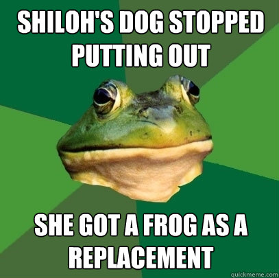Shiloh's Dog stopped putting out She got a frog as a replacement  Foul Bachelor Frog