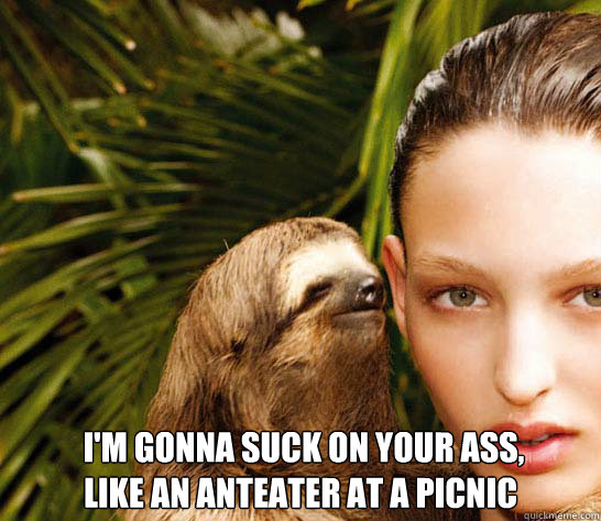   I'm gonna suck on your ass,                like an anteater at a picnic -   I'm gonna suck on your ass,                like an anteater at a picnic  romantic sloth