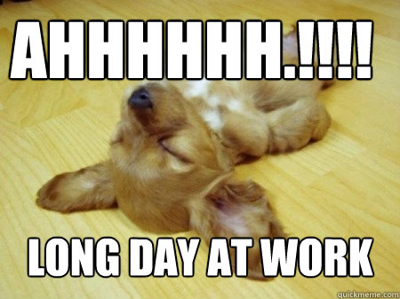 ahhhhhh.!!!! Long day at work - ahhhhhh.!!!! Long day at work  Tired Dog