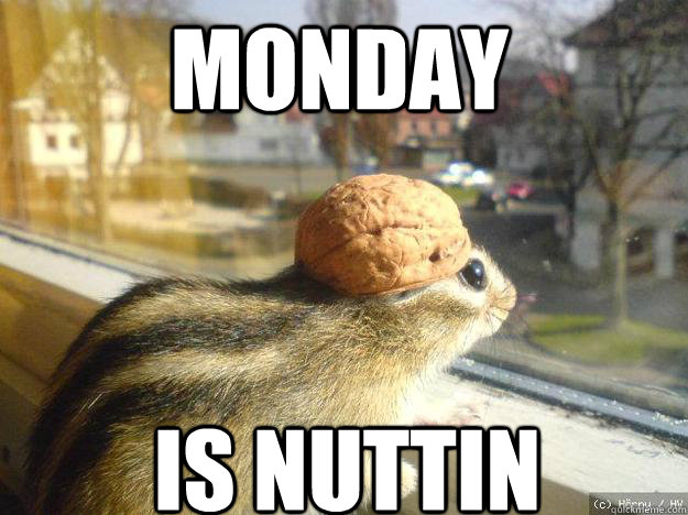Monday is nuttin  Adventure Chipmunk