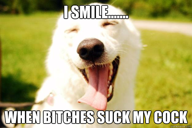 I SMILE....... WHEN BITCHES SUCK MY COCK  Happy dog