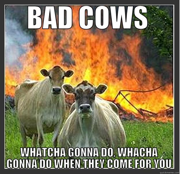 BAD COWS WHATCHA GONNA DO, WHACHA GONNA DO WHEN THEY COME FOR YOU Evil cows