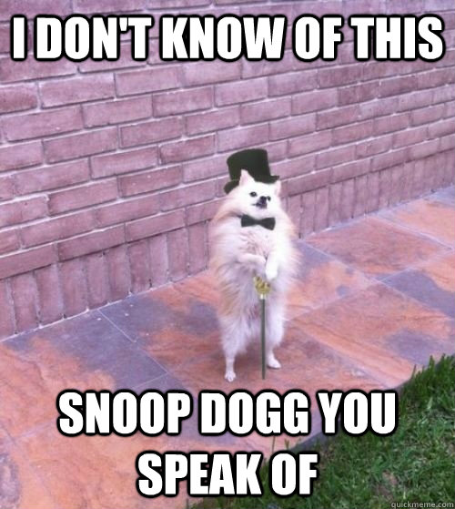 I don't know of this snoop dogg you speak of - I don't know of this snoop dogg you speak of  Classy Dog