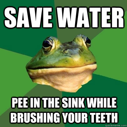 SAVE WATER PEE IN THE SINK WHILE BRUSHING YOUR TEETH  Foul Bachelor Frog