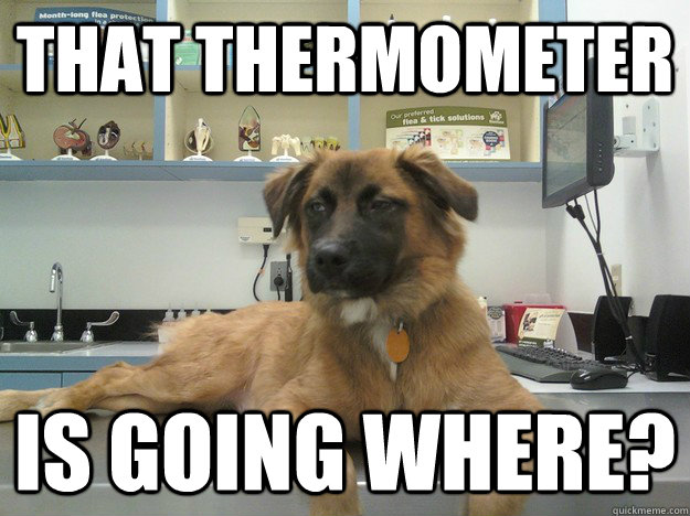 That Thermometer is going where?  