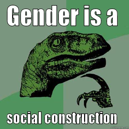 GENDER IS A SOCIAL CONSTRUCTION  Philosoraptor