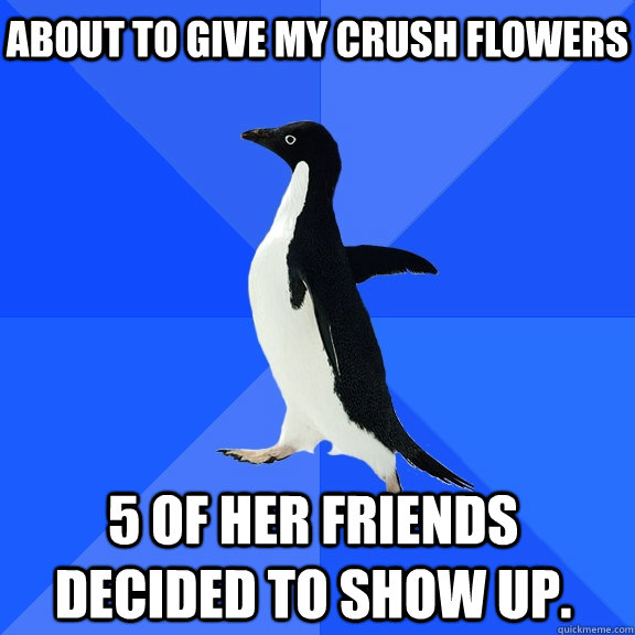 About to give my crush flowers 5 of her friends decided to show up.  Socially Awkward Penguin