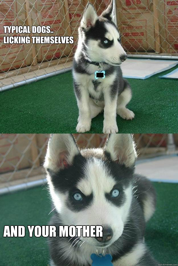Typical Dogs.. 
licking themselves And your mother  Insanity puppy