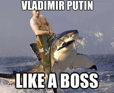 vladimir putin like a boss  