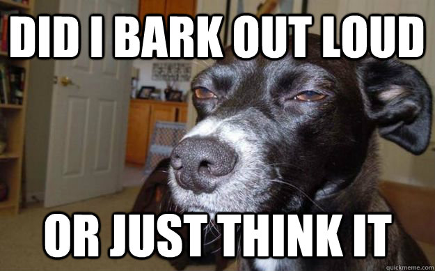 Did I bark out loud  Or just think it  Skeptical Mutt