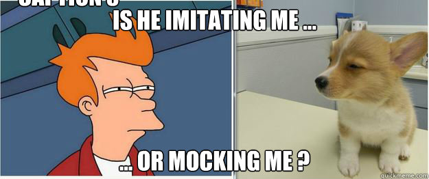 Is he imitating me ... ... or mocking me ? Caption 3 goes here - Is he imitating me ... ... or mocking me ? Caption 3 goes here  Fry Dog Staredown