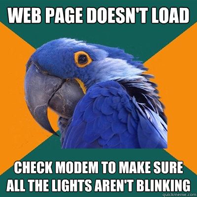 web page doesn't load check modem to make sure all the lights aren't blinking  Paranoid Parrot