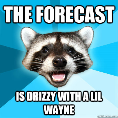 THE FORECAST IS DRIZZY WITH A LIL WAYNE  Lame Pun Coon