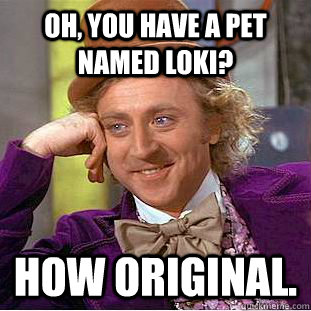 Oh, you have a pet named Loki? How original. - Oh, you have a pet named Loki? How original.  Condescending Wonka
