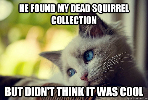 He found my dead squirrel collection But didn't think it was cool  First World Problems Cat