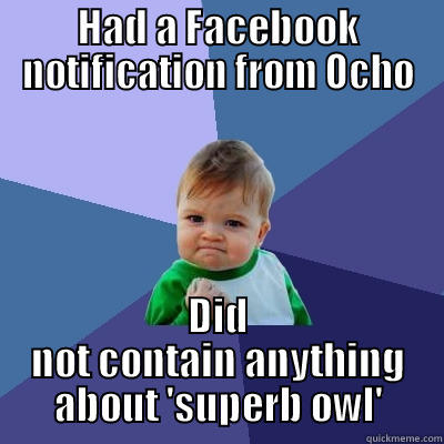 HAD A FACEBOOK NOTIFICATION FROM OCHO DID NOT CONTAIN ANYTHING ABOUT 'SUPERB OWL' Success Kid