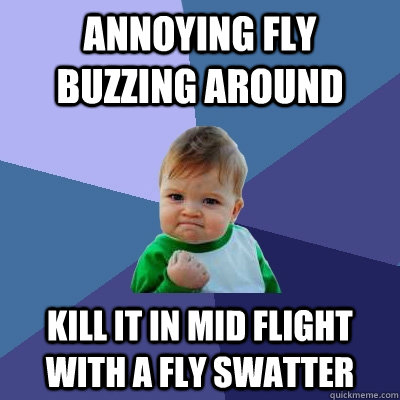 Annoying fly buzzing around kill it in mid flight with a fly swatter  Success Kid