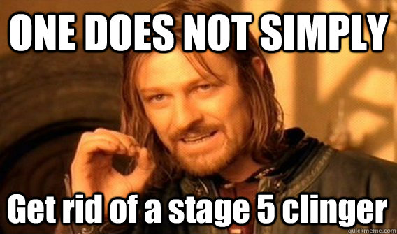 ONE DOES NOT SIMPLY Get rid of a stage 5 clinger - ONE DOES NOT SIMPLY Get rid of a stage 5 clinger  One Does Not Simply