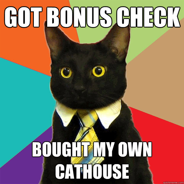 GOT BONUS CHECK BOUGHT MY OWN CATHOUSE  Business Cat
