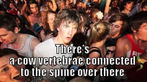  THERE’S A COW VERTEBRAE CONNECTED TO THE SPINE OVER THERE Sudden Clarity Clarence