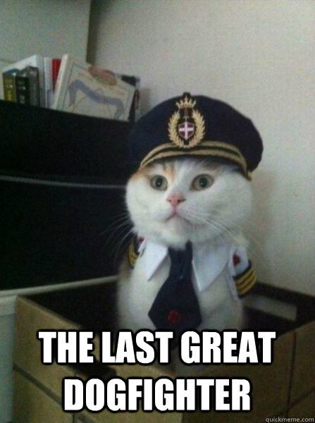  the last great dogfighter  Captain kitteh