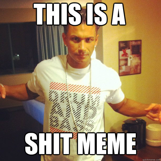 this is a  shit meme  Drum and Bass DJ Pauly D