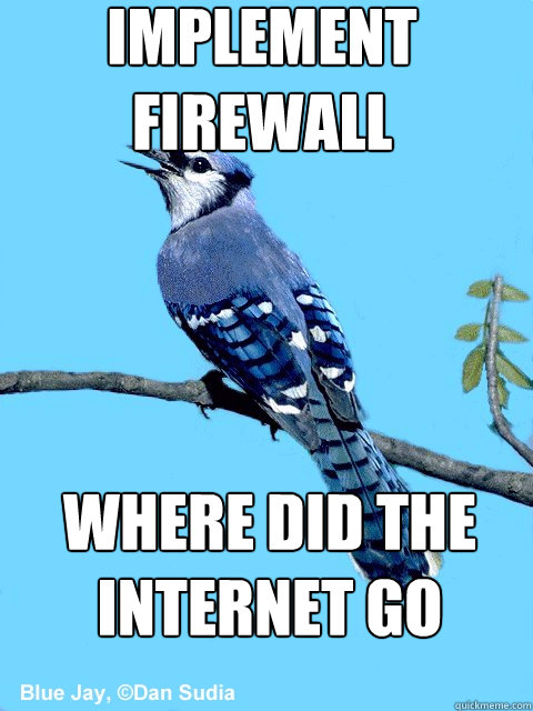 implement firewall where did the internet go  Blue Team Bird