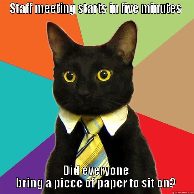 STAFF MEETING STARTS IN FIVE MINUTES DID EVERYONE BRING A PIECE OF PAPER TO SIT ON? Business Cat