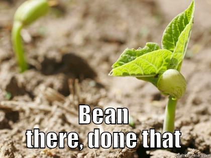 bean there -  BEAN THERE, DONE THAT Misc