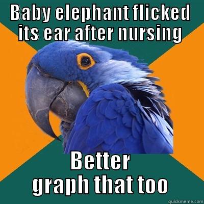 BABY ELEPHANT FLICKED ITS EAR AFTER NURSING BETTER GRAPH THAT TOO Paranoid Parrot