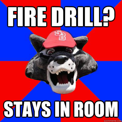fire drill? stays in room - fire drill? stays in room  Wolfie Meme - SBU