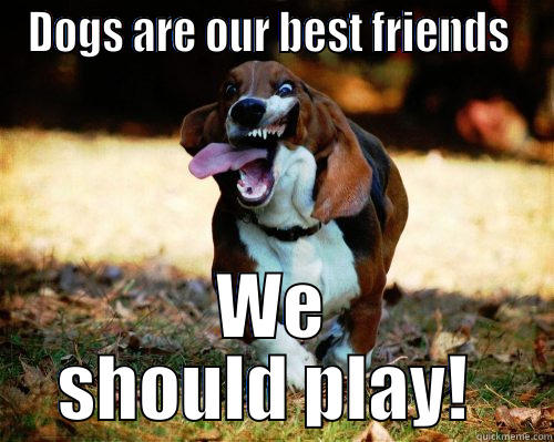DOGS ARE OUR BEST FRIENDS  WE SHOULD PLAY!  Insanity puppy
